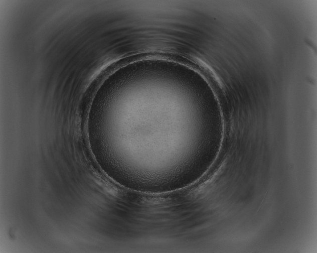 X0000093161019200709261505