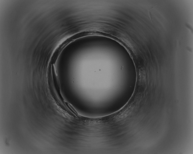 X0000093161020200709261505
