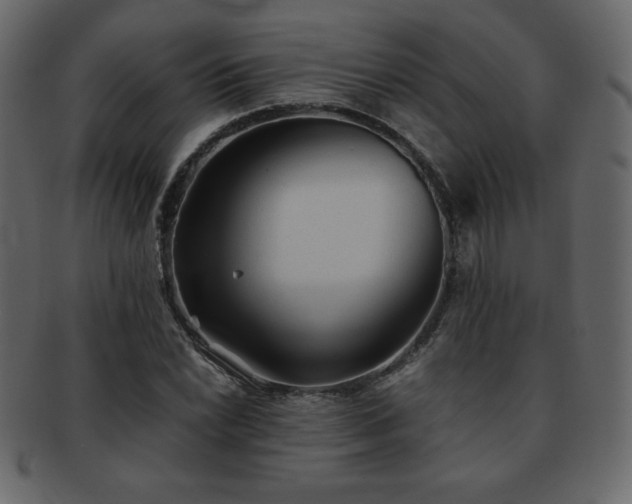X0000093161022200709261505