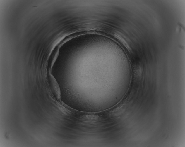 X0000093161023200709261505