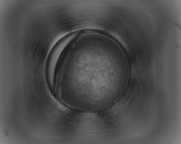 X0000093161024200709261505