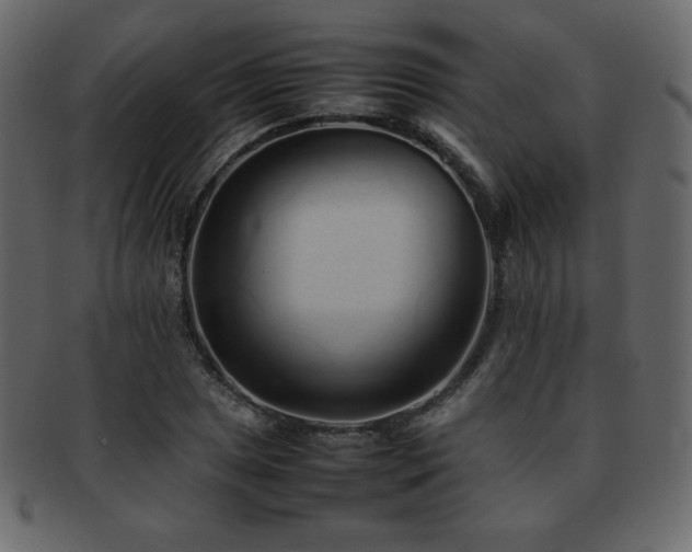 X0000093161025200709261505