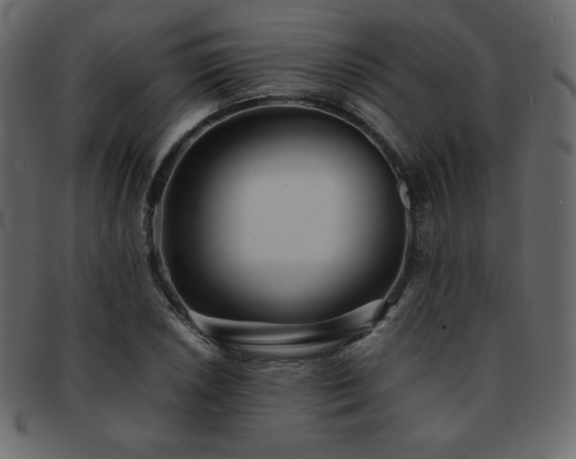 X0000093161026200709261505