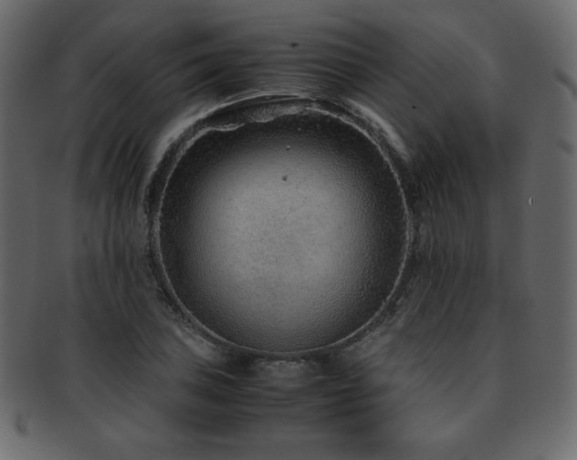 X0000093161027200709261505