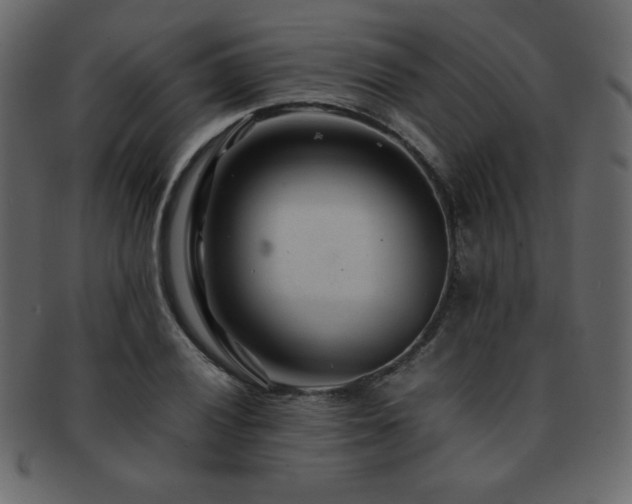 X0000093161028200709261505