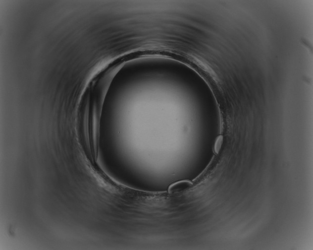 X0000093161029200709261505