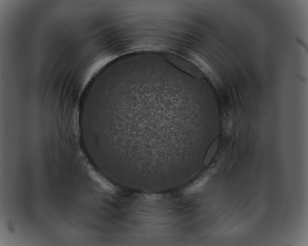 X0000093161030200709261505