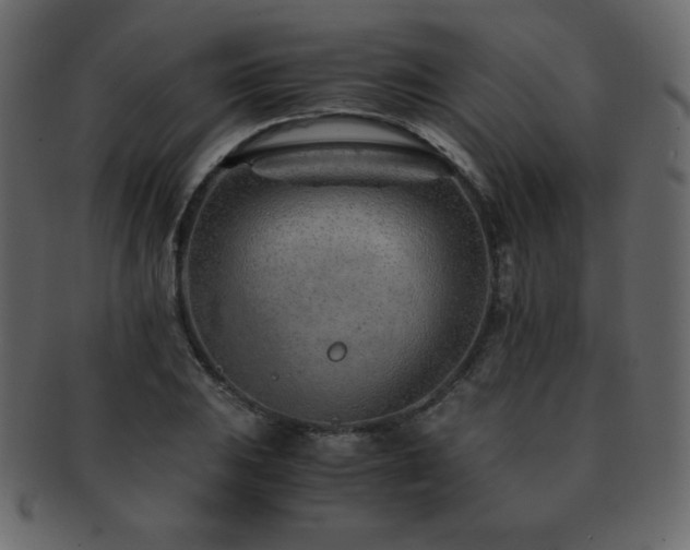 X0000093161031200709261505