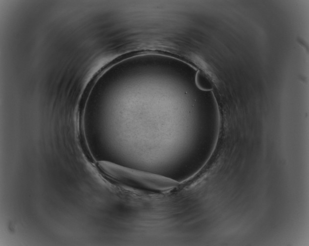 X0000093161032200709261505