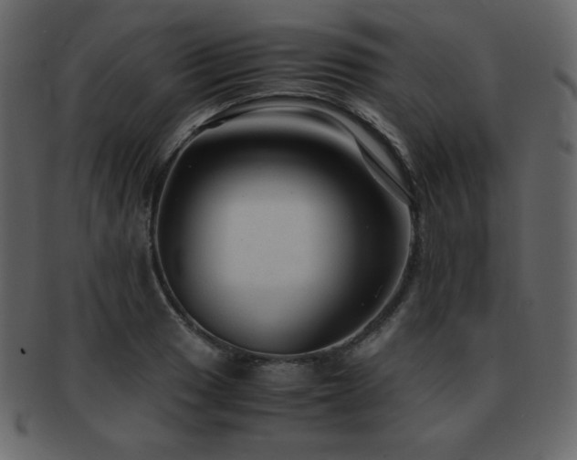 X0000093161033200709261505