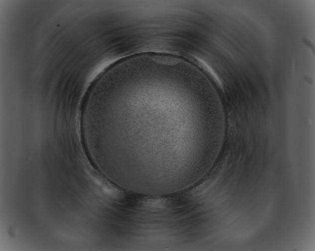 X0000093161035200709261505