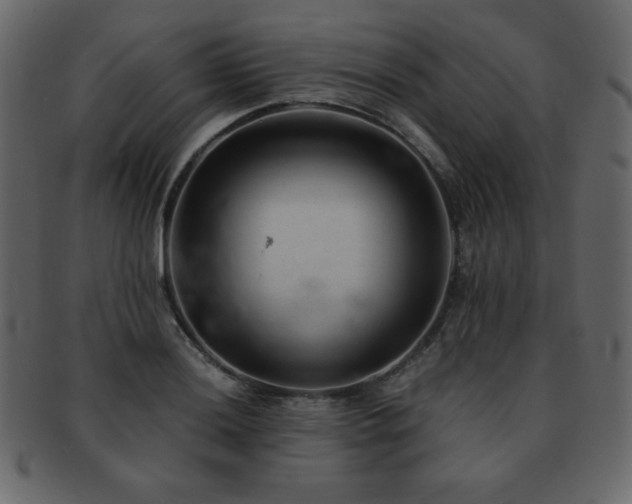X0000093161036200709261505