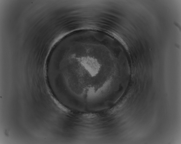 X0000093161037200709261505