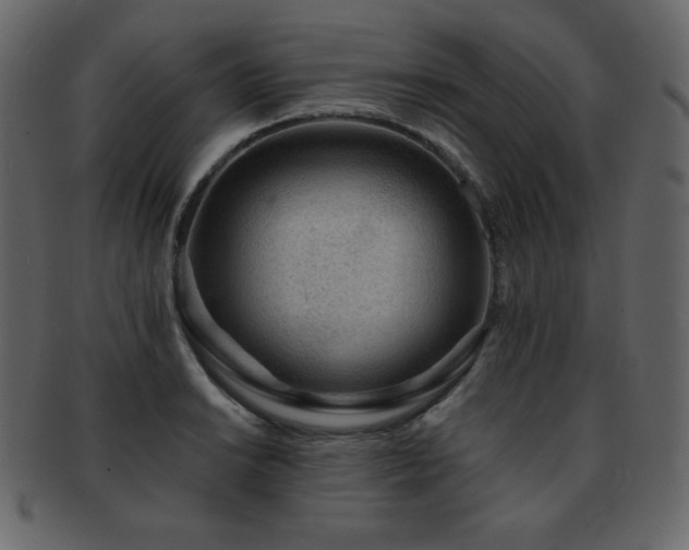 X0000093161038200709261505