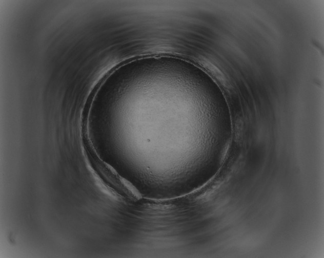 X0000093161039200709261505