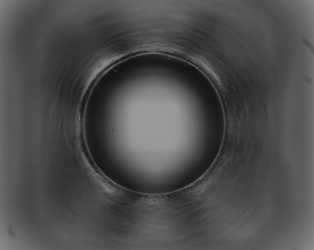 X0000093161040200709261505