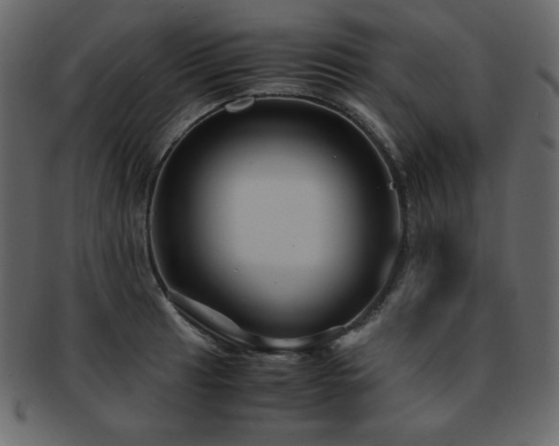 X0000093161041200709261505