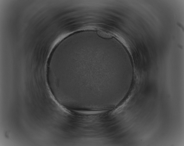 X0000093161045200709261505