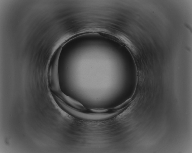X0000093161046200709261505