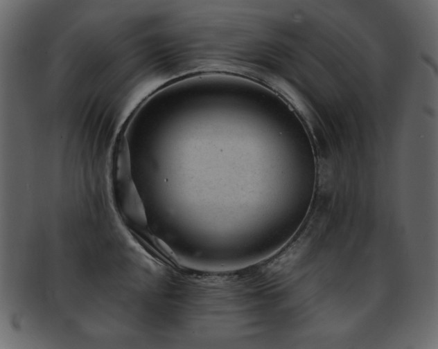 X0000093161048200709261505