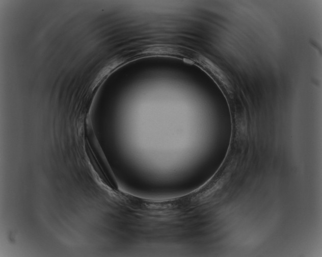 X0000093161049200709261505