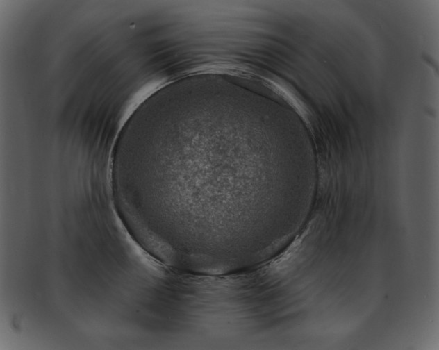 X0000093161050200709261505
