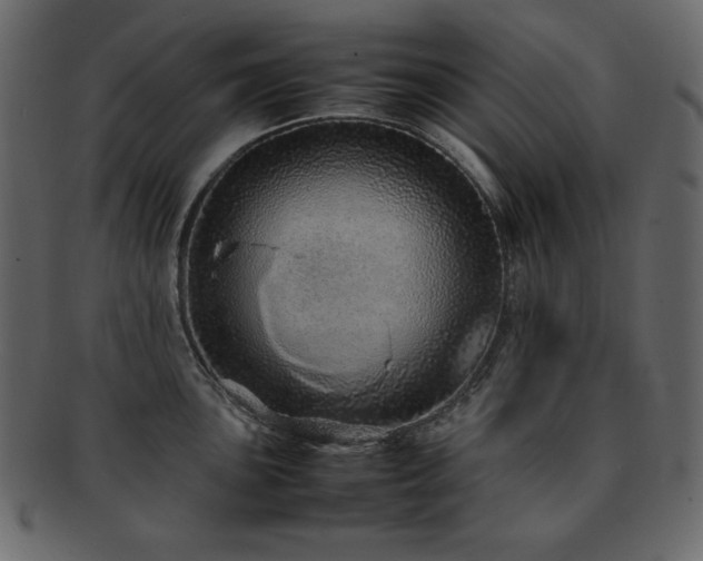 X0000093161051200709261505