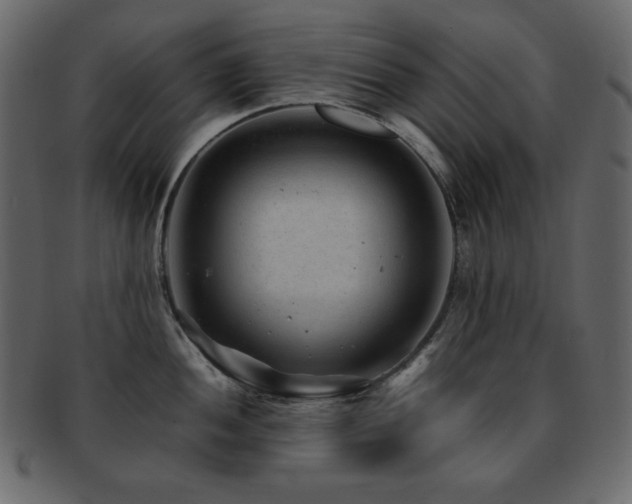 X0000093161052200709261505