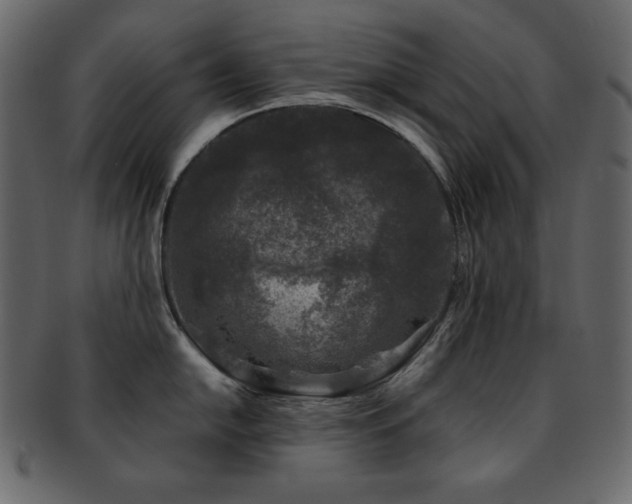 X0000093161054200709261505