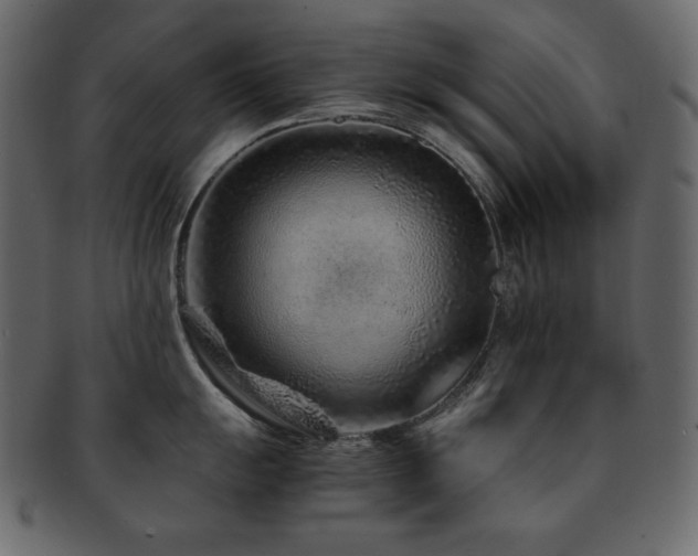 X0000093161055200709261505