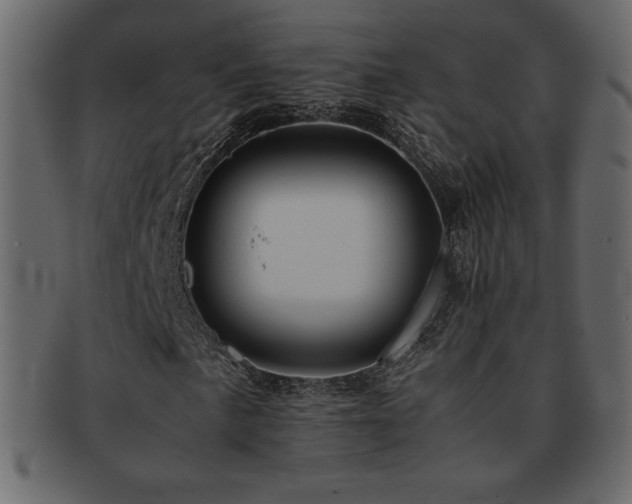 X0000093161057200709261505