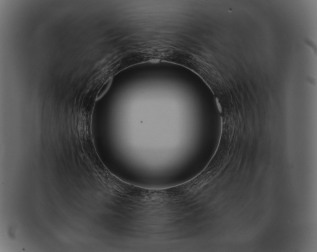 X0000093161058200709261505