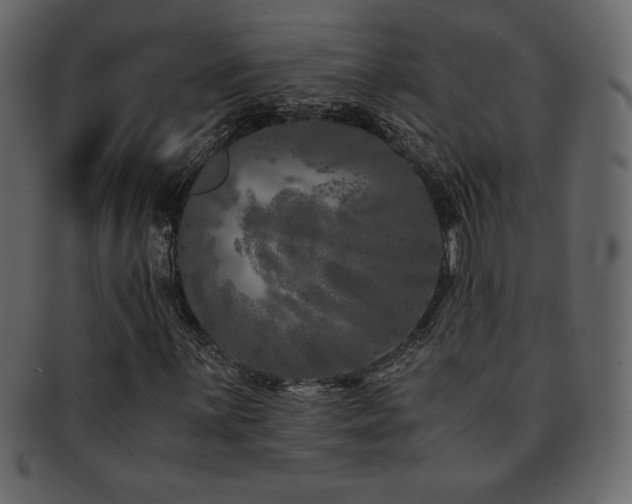 X0000093161059200709261504