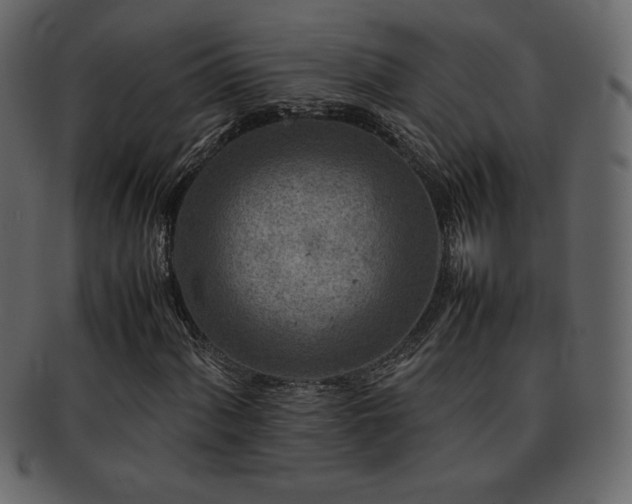 X0000093161060200709261504