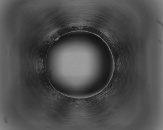 X0000093161062200709261504