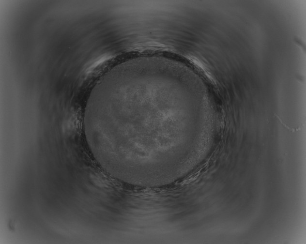 X0000093161063200709261504