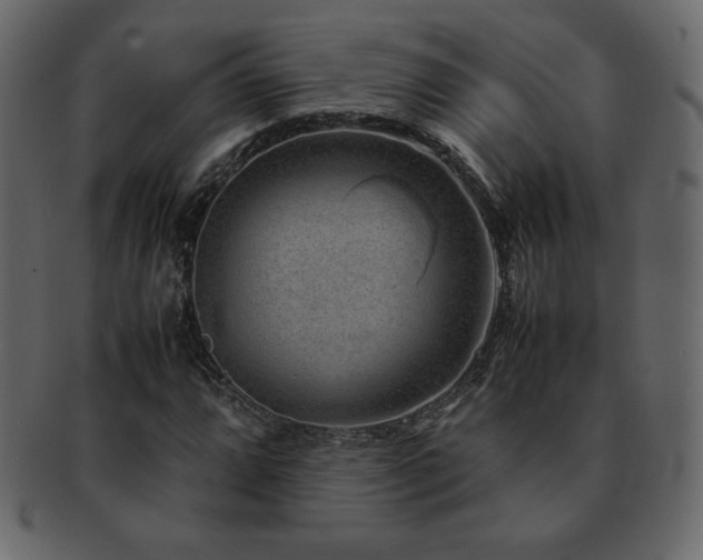 X0000093161064200709261504