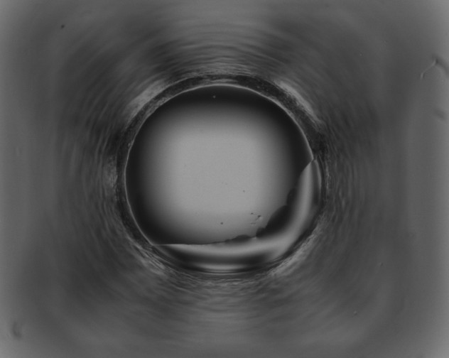X0000093161065200709261504