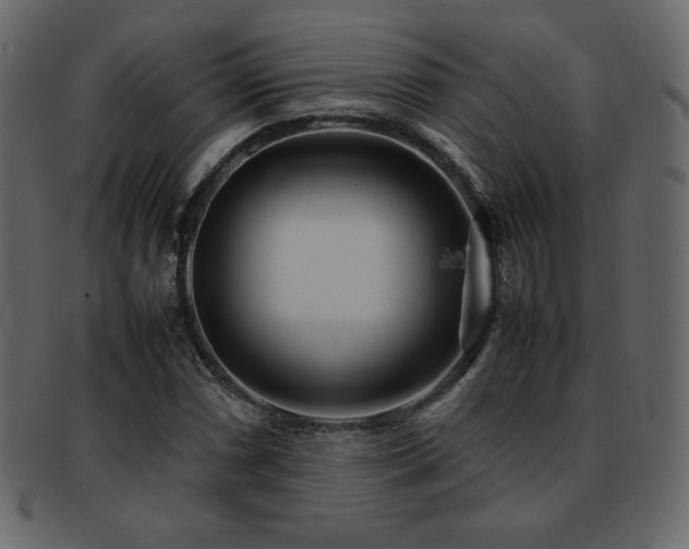 X0000093161066200709261504
