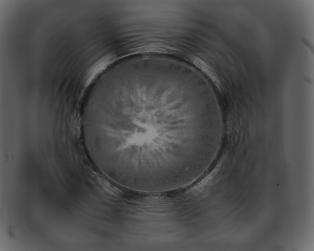 X0000093161067200709261504