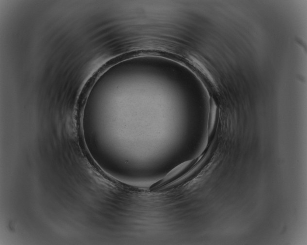 X0000093161068200709261504