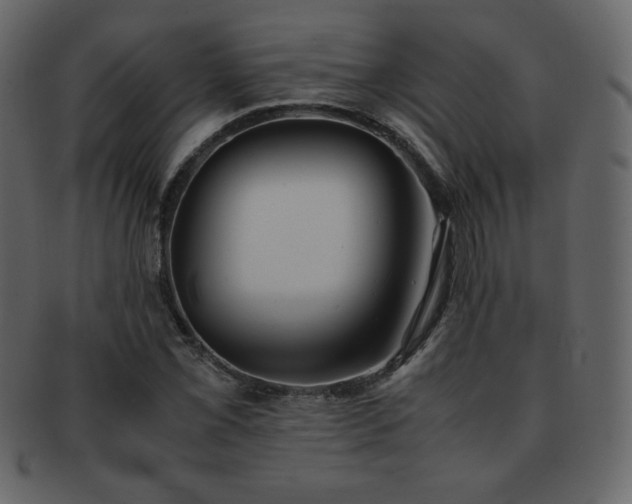 X0000093161069200709261504