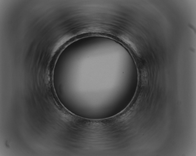 X0000093161070200709261504