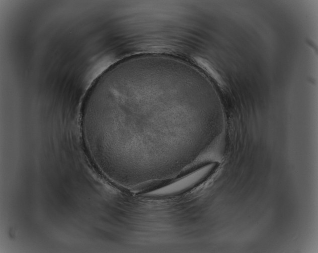 X0000093161071200709261504