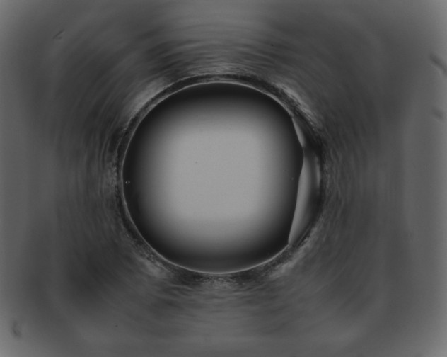 X0000093161073200709261504
