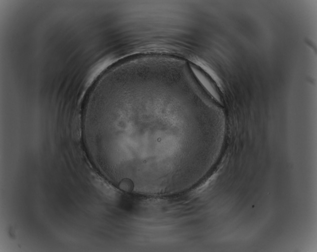 X0000093161075200709261504