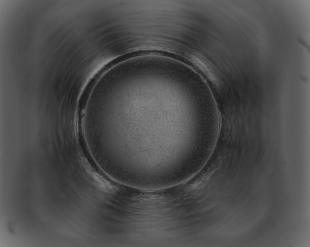 X0000093161076200709261504