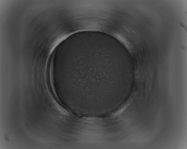 X0000093161077200709261504