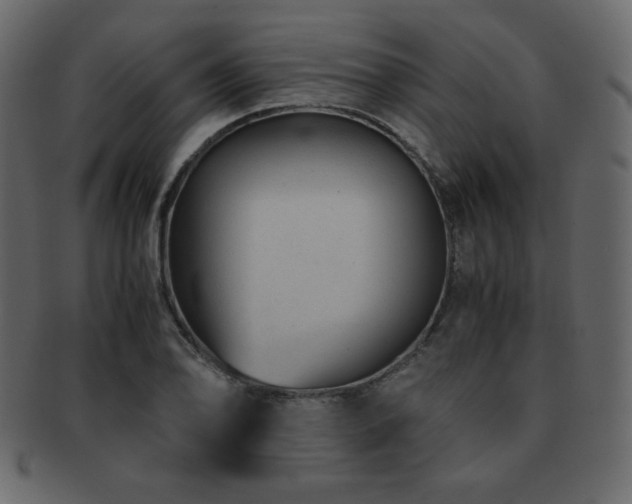 X0000093161078200709261504