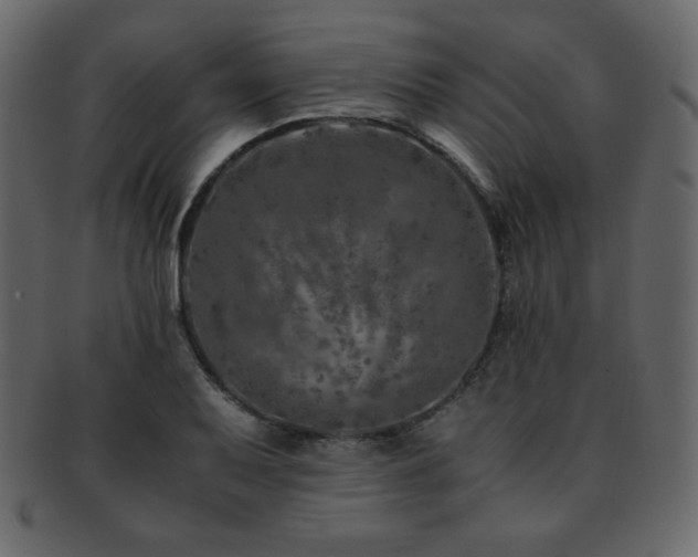 X0000093161079200709261504